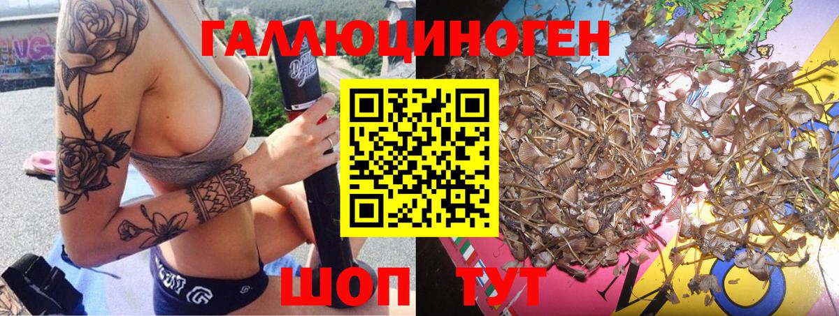 Галлюциногенные грибы прущие грибы  Вход с VPN  Кимовск  Галлюциногенные грибы GOLDEN TEACHER 
